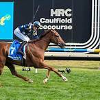 sports bet horse racing